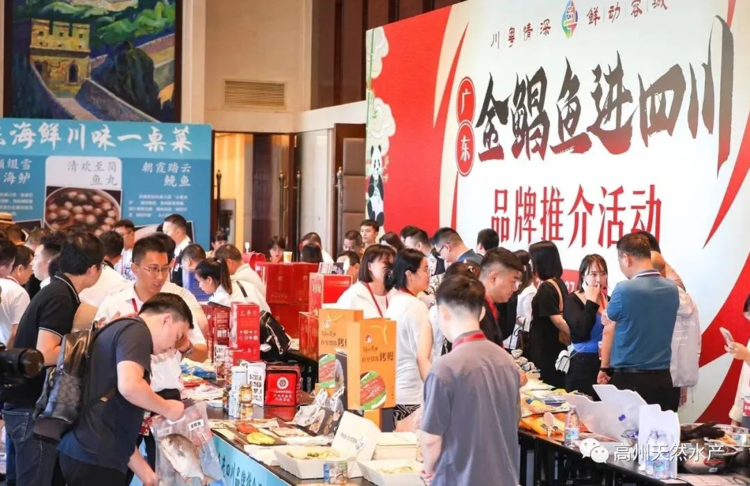 1728870451172810.jpg 图片6.jpg