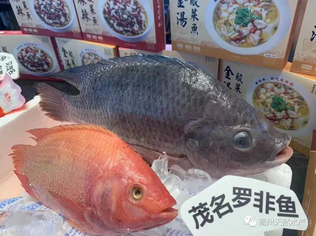 1728870467125259.jpg 图片8.jpg