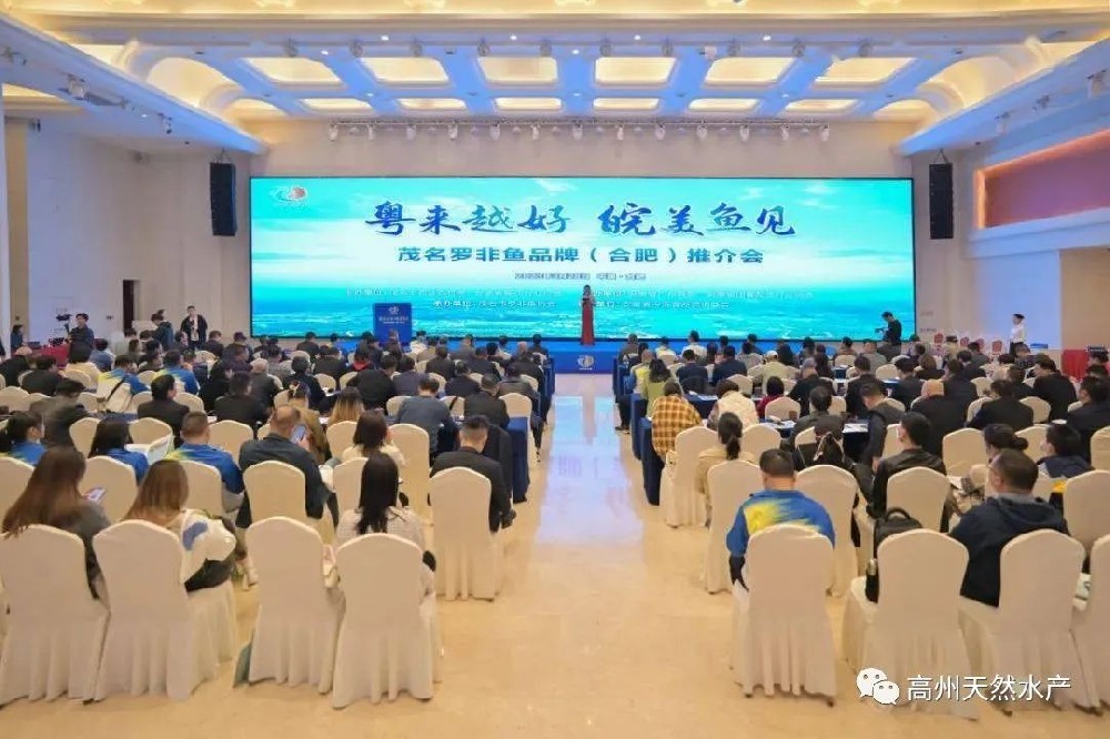 “粤来越好 皖美鱼见”-----茂名“一条鱼”(罗非鱼)引爆安徽商圈!