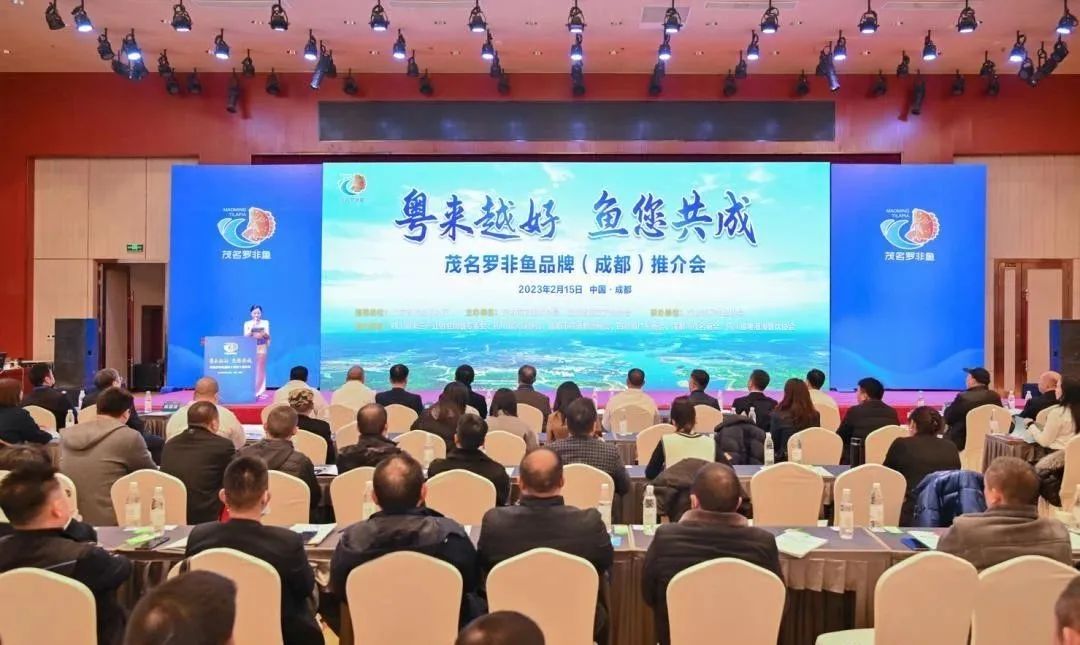 1729699691146283.jpg 1.jpg