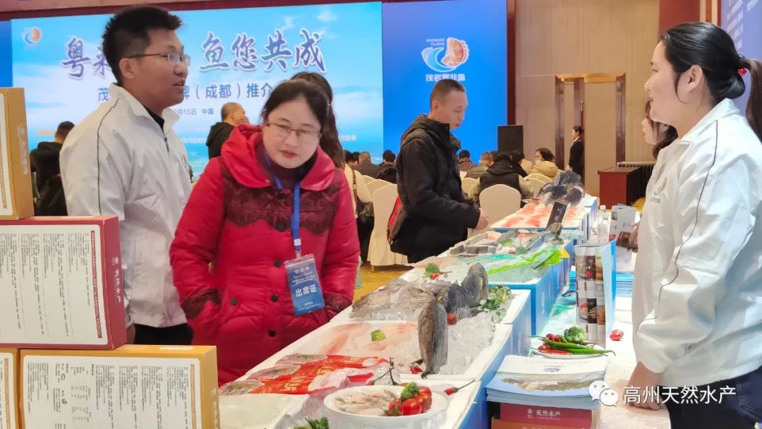 1729699763580342.jpg 5.jpg